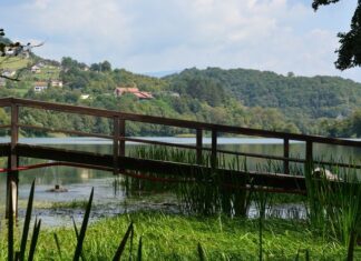 Chaotic Arrival at the Port